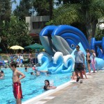 מגלשת הלוויתן מגלשת הלוויתן